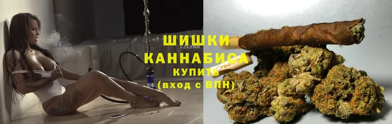 Каннабис OG Kush  Никольское 